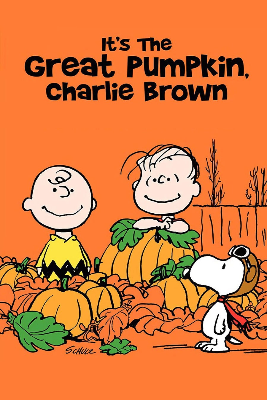 It's The Great Pumpkin, Charlie Brown. (1966) poster