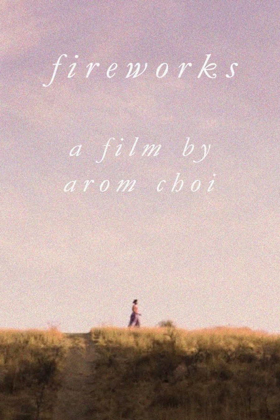 Fireworks poster