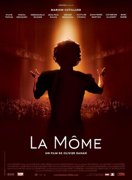 La Vi En Ros poster