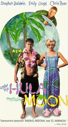 Under The Hulu Moon poster