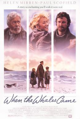When The Whales Come poster