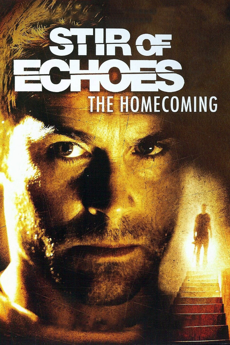 Stir of Echoes 2 poster