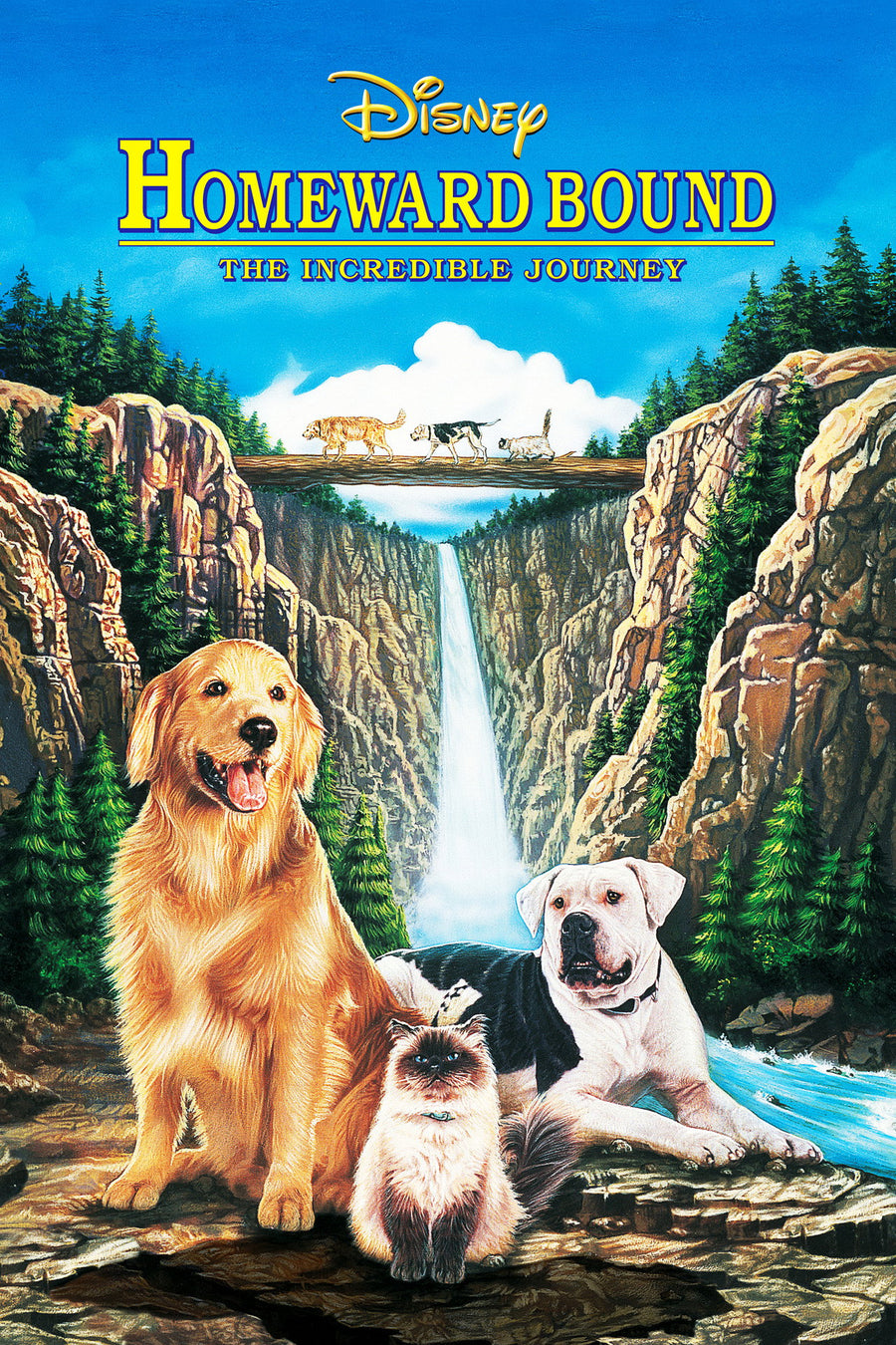 Homeward Bound poster