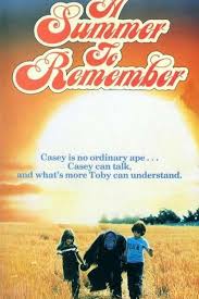 A Summer to Remember poster