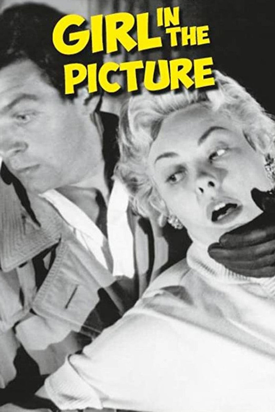 The Girl in the Picture poster