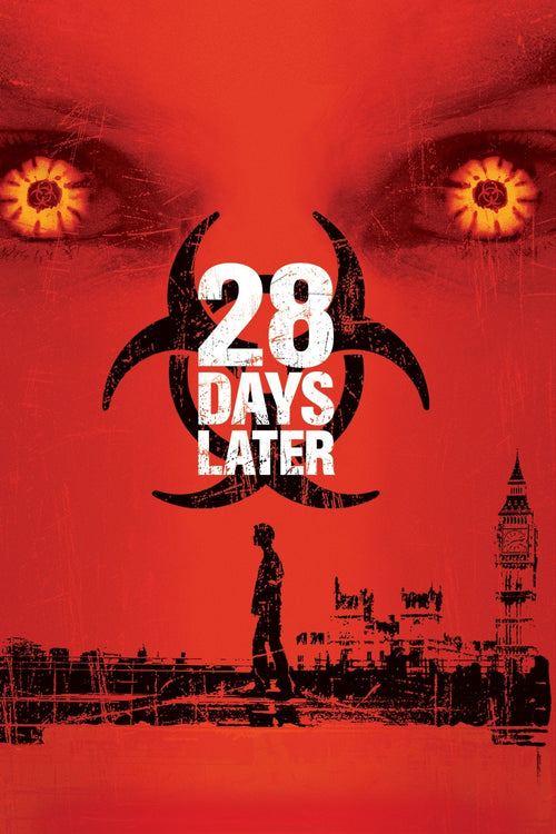 28 Days poster