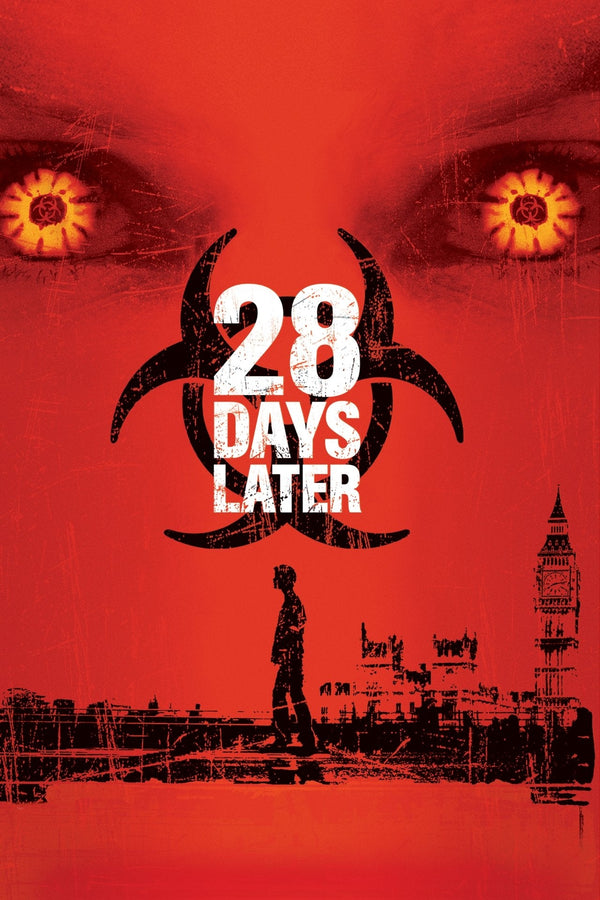 28 Days poster