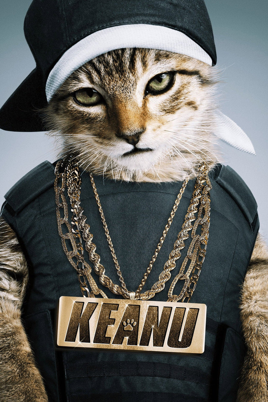Keanu (2016) poster