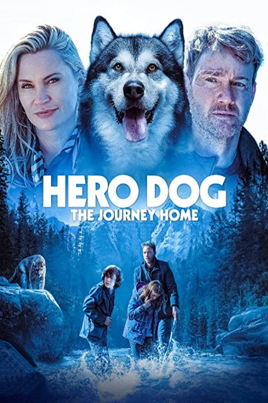 Hero Dog: The Journey Home (2021) poster